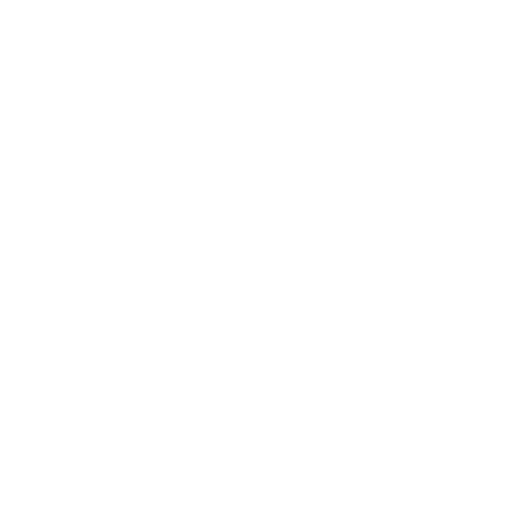 Expert Team Expert Team